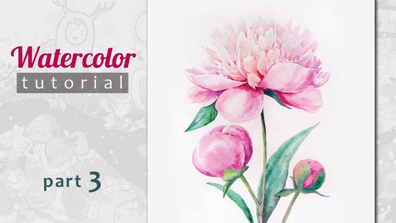 How to draw a Peony Watercolor. Realtime. Part 3 - YouTube