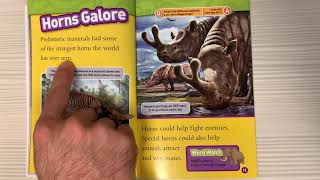 Prehistoric mammals