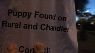 No Trespass Tour: Just Peeking for Secrets on the Intel Campus; Chandler, Arizona