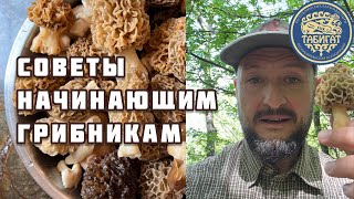 Советы начинающим грибникам!!! ЭТО НУЖНО ЗНАТЬ ‼️