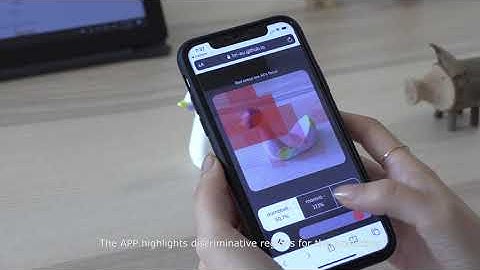 A Mobile Tool that Helps Nonexperts Make Sense of Pretrained CNN