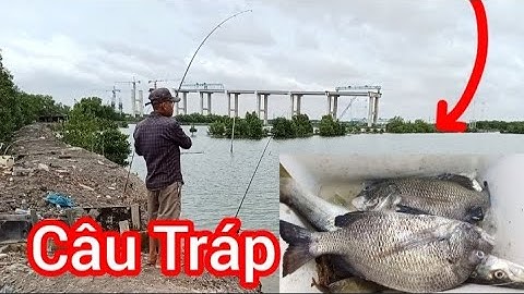 Câu Cá Tráp Đầu Mùa Bằng Mồi Cá Bống || Câu Đùng Mỹ Xuân Tân Thành BRVT || Đam mê câu cá