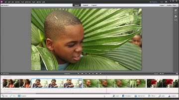 Three Ways to Edit Movies Using Premiere Elements 13