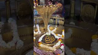 Virupaksh Mahadev bilpank #virupaksha #love #matasherawali #bilpank #travel #mataraniarti