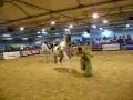 Jrmy  slyne gonzalez cabriole cheval passion 2009