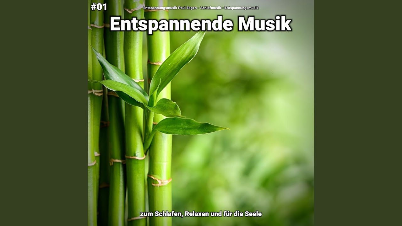 Ruhige Musik für Wellness YouTube