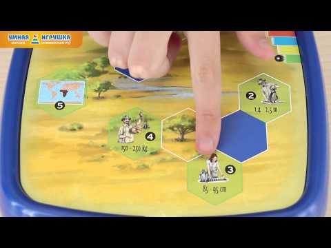 Логическая игра Bondibon (Бондибон) «Фауна»