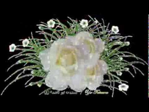 عيد ميلاد سعيد يا اغلى الناس