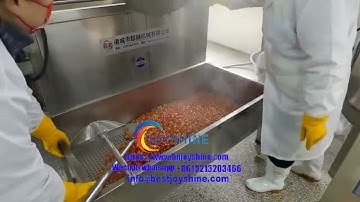 shrimp frying machine continuous fryer | snacks frying machine |food fryer|seafood continuous fryer
