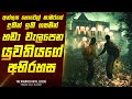        movie review sinhala  home cinema sinhala