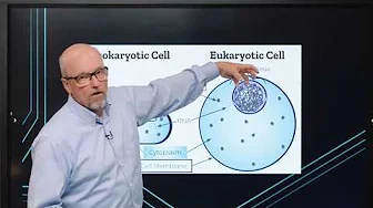 Why Do Bad Germs Exist in God’s Good Creation? - Dr. Joe Francis