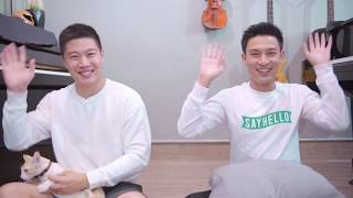 Learn how to meow 😻