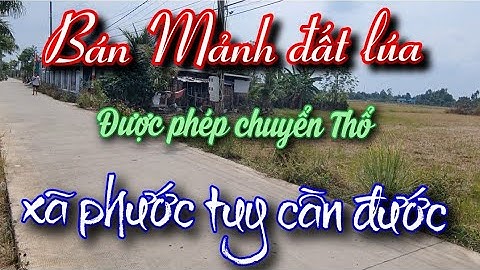 Bán 3600m2 khu vực được chuyển thổ cư ấp 2 xã phước tuy cần đước Long An Giá 1tỷ 8/công lh0334039606