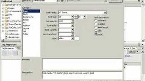 Create a Cascading Style Sheet in SharePoint Designer 2007