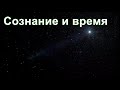 Из ниоткуда в никогда. Часть 25. Сознание и время. Дмитрий Гаун.