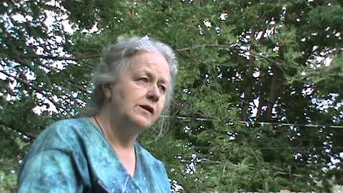 Debra Grove - Bees
