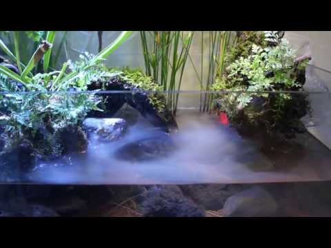 アクアテラに霧発生
