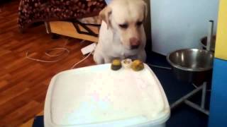 VID 20121215 115807