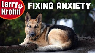 Fixing Anxiety in German Shepherd, the slow unedited process