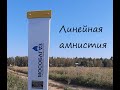 линейная амнистия