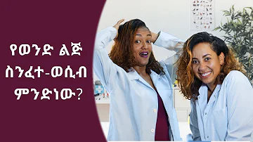 የወንድ ልጅ  ስንፈተ-ወሲብ  ምንድነው?