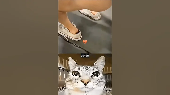 Wait for twist 👉☠️ #cat #meme #dance