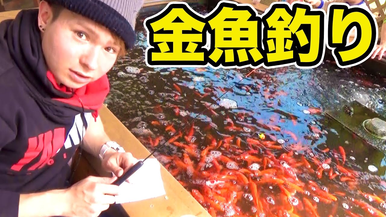 金魚釣りに挑戦 珍しい Pds Youtube 金魚釣りに挑戦 珍しい Pds Youtube