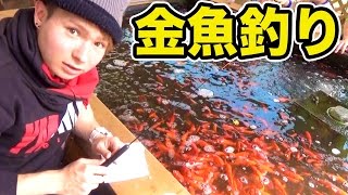 金魚釣りに挑戦!! 珍しい　PDS