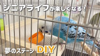 うめの願いを叶えるよ✨シニアライフが楽しくなるインコのステージ作りました【DIY】