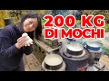 200KG DI MOCHI - CAMPAGNA GIAPPONESE, MOCHITSUKI