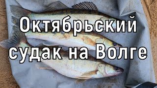 Осенний судак при ледяном ветре и снеге с дождем. by Shus Fishing 562 views 6 months ago 6 minutes, 40 seconds