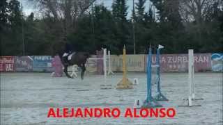 CCCXXXVII  HÍPICA DEHESA de CAMPOMANES