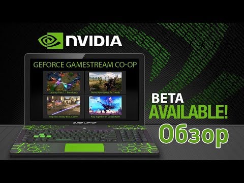 Obzor Na Nvidia Gamestream Co Op Youtube