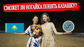 Говорю с Ногайкой на казахском языке | Сможем ли понять друг друга говоря на своих родных языках?