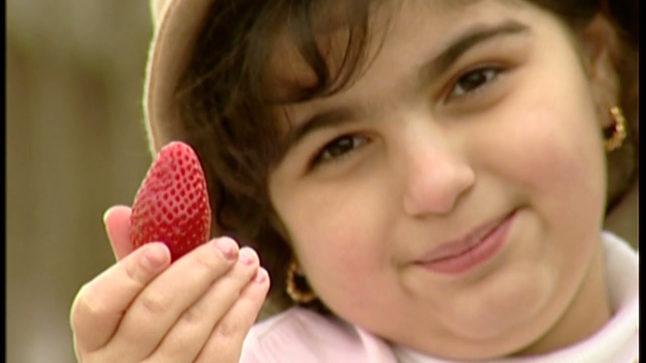 یادگاریەکانی منداڵان لە کوردسات - گۆرانی شلیک