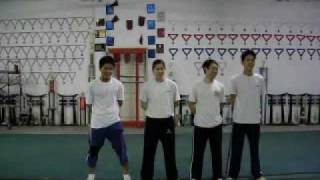 cote 21 2005 Qiangshu Basic Required moves