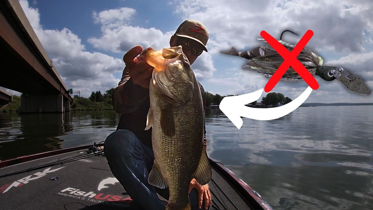 STOP Making THESE Chatterbait Mistakes! YouTube