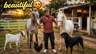 Socha Nahi Tha is Beautiful Farm Pr Itne Saare Animals Honge Lekin Ye Neela Baccha Pasand Aajayega 😍
