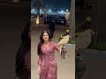 مهرة صفرا عليها أشقر ذوايب عنقا ابيضها تخالط مع حمرها مهرة صفرا عليها أشقر ذوايب عنقا ابيضها تخالط مع حمرها