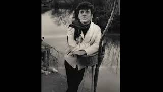 Zeki Müren - Yaşadığım Şehre Yolun Düşerse