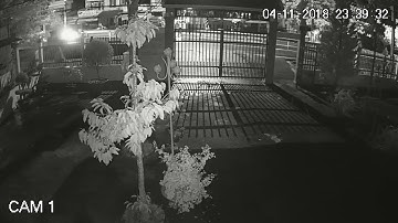 02 Ngày 04 11  Cam 01  23g39