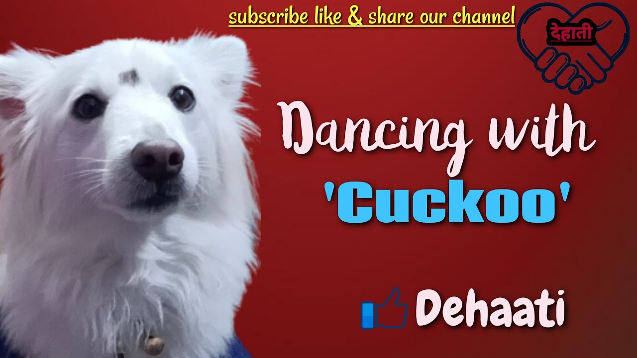 Cuckoo Dance,with view of palm tree and of Patna YouTube