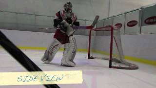 Goalie Training Learn how to play like a goalie this week  27 March 3 2012
