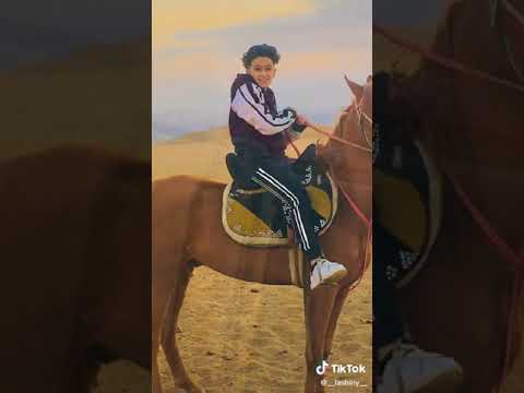 اغنيه اوعى تفكر انك جامد سامر المدني تيك توك