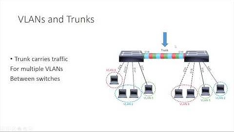 VLAN and Trunks NI   4✔️