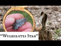 “Wylberhtes Stan” and the Falestone, a Walk near Everleigh Plus a Curious Hare and a Flint Arrowhead