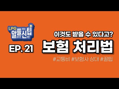 모르면 손해보는 교통사고 보험처리 꿀팁 대방출 알쓸신팁 EP 21 