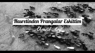 Ahmed Arif Hasretinden Prangalar Eskittim