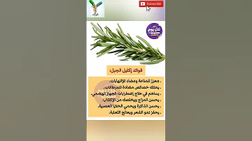 فوائد اكليل الجبل صحة أطعمة فوائد معلومات 