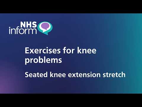 Seated knee extension